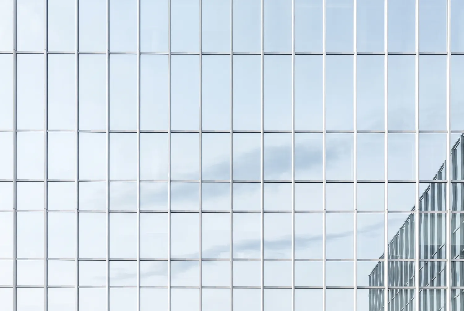 Grid of slim silver glazing bars against a pale blue sky
